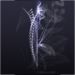 spine 07 (0;00;07;10)